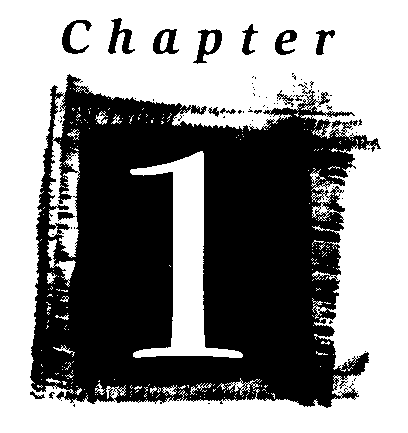 Chapter 1